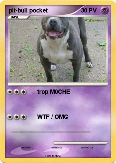 Pokemon pit-bull pocket