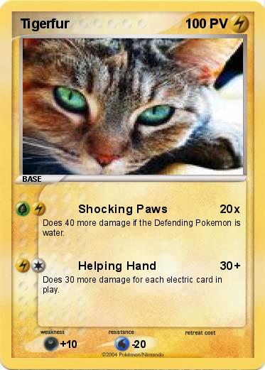 Pokemon Tigerfur