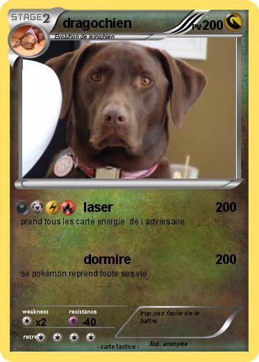 Pokemon dragochien