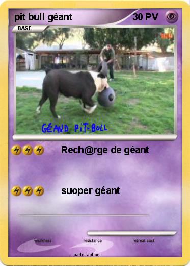 Pokemon pit bull géant