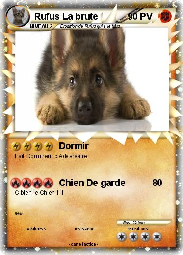 Pokemon Rufus La brute