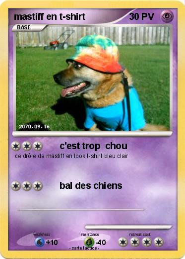 Pokemon mastiff en t-shirt