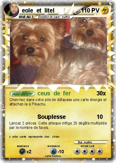 Pokemon eole  et  litel