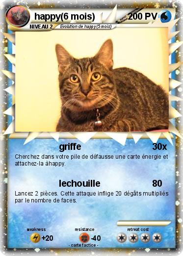 Pokemon happy(6 mois)