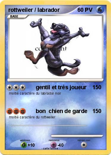Pokemon rottweiler / labrador