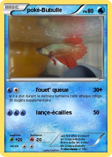 Pokemon poké-Bubulle