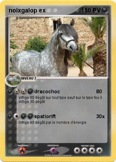 Pokemon noixgalop ex