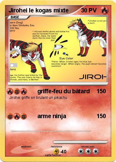 Pokemon Jirohei le kogas mixte
