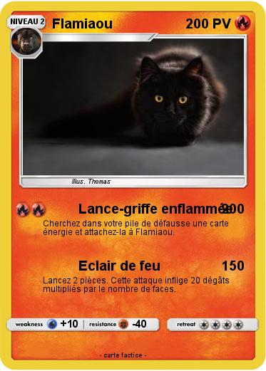 Pokemon Flamiaou
