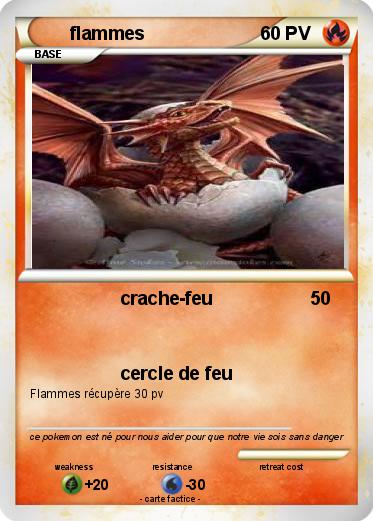 Pokemon flammes