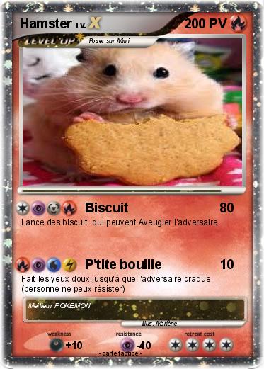 Pokemon Hamster