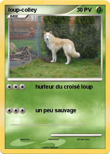 Pokemon loup-colley
