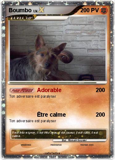 Pokemon Boumbo
