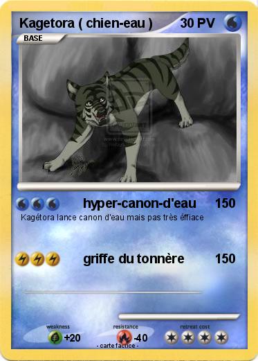 Pokemon Kagetora ( chien-eau )