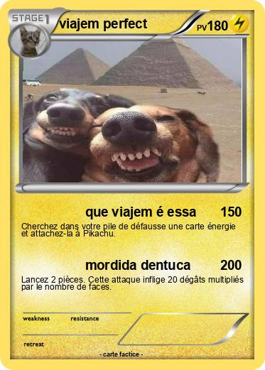 Pokemon viajem perfect