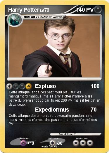 Pokemon Harry Potter