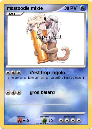 Pokemon mastoodle mixte