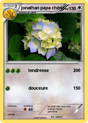 Pokemon jonathan papa chérie