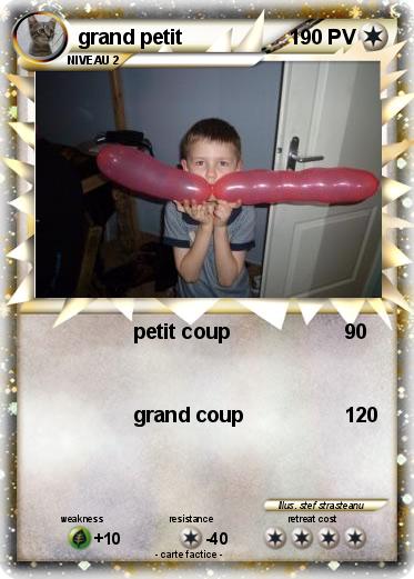 Pokemon grand petit