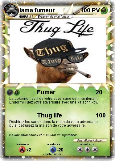 Pokemon lama fumeur