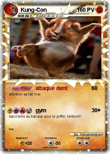 Pokemon Kung-Con