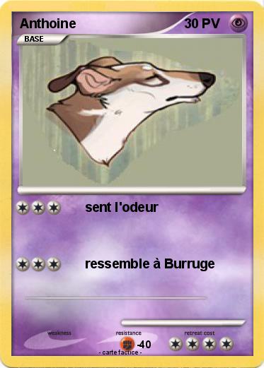 Pokemon Anthoine