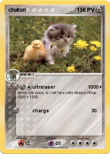 Pokemon chaton