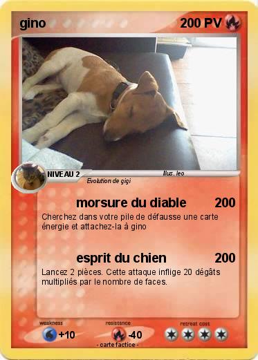 Pokemon gino