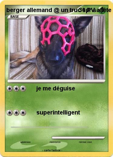 Pokemon berger allemand @ un truc sµr sa tête