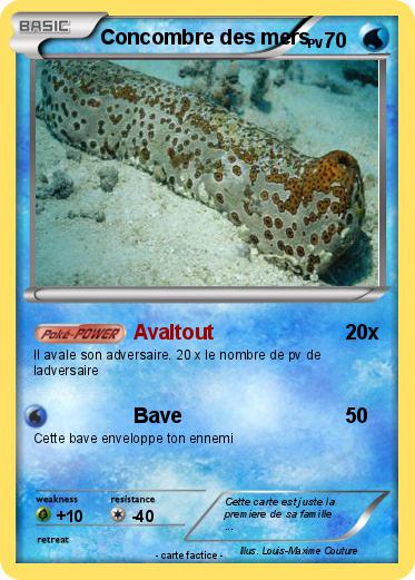 Pokemon Concombre des mers