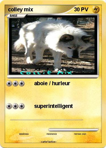 Pokemon colley mix