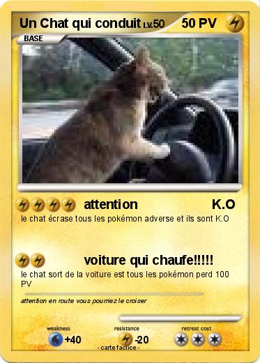 Pokemon Un Chat qui conduit