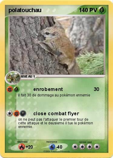 Pokemon polatouchau