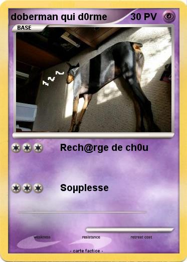 Pokemon doberman qui d0rme