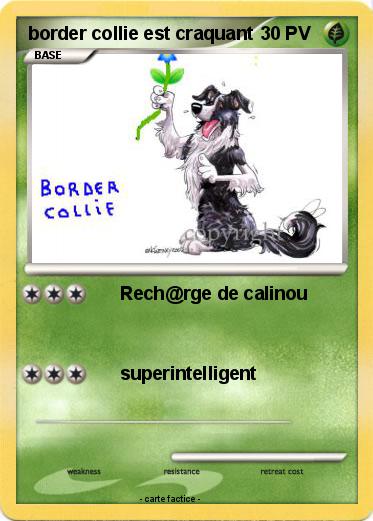 Pokemon border collie est craquant