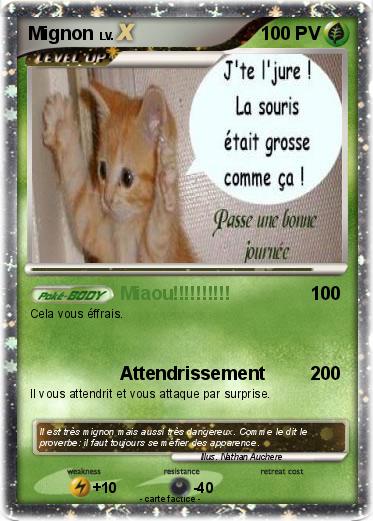 Pokemon Mignon
