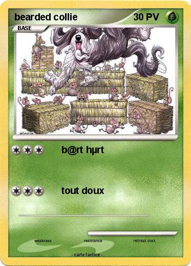Pokemon bearded collie