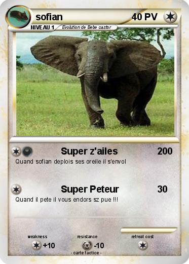 Pokemon sofian