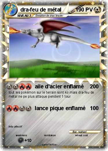 Pokemon dra-feu de métal