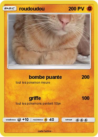 Pokemon roudoudou