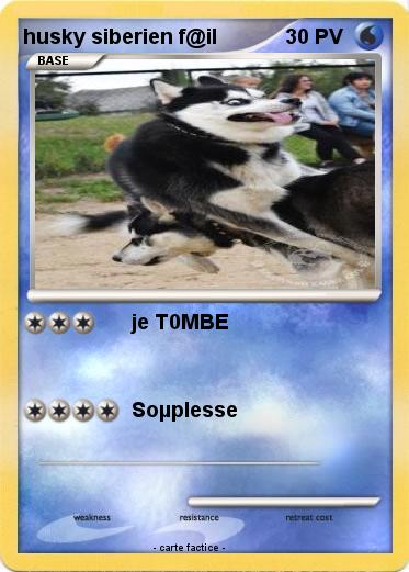Pokemon husky siberien f@il