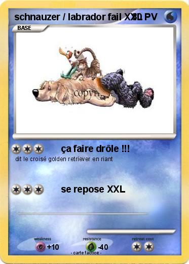 Pokemon schnauzer / labrador fail XXL
