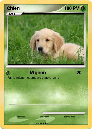 Pokemon Chien