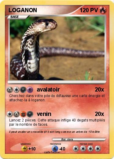 Pokemon LOGANON