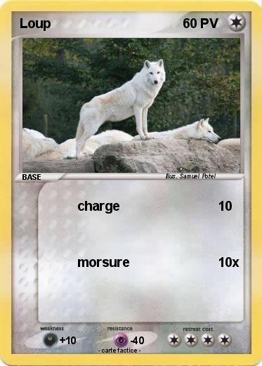 Pokemon Loup