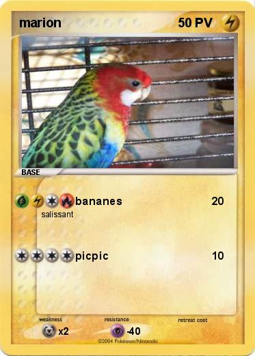 Pokemon marion