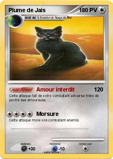 Pokemon Plume de Jais