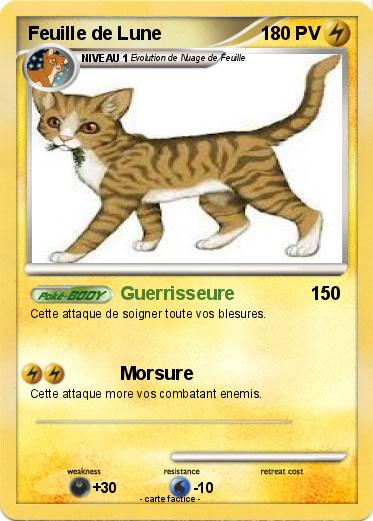 Pokemon Feuille de Lune