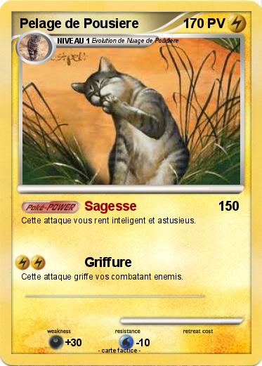 Pokemon Pelage de Pousiere