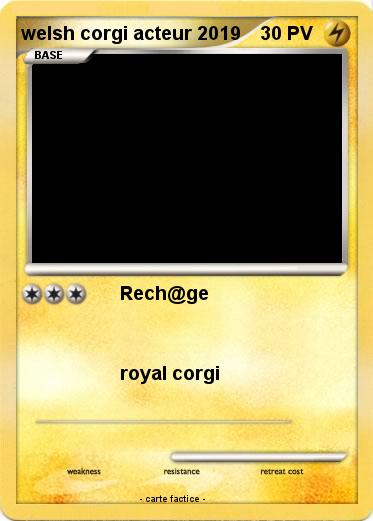 Pokemon welsh corgi acteur 2019